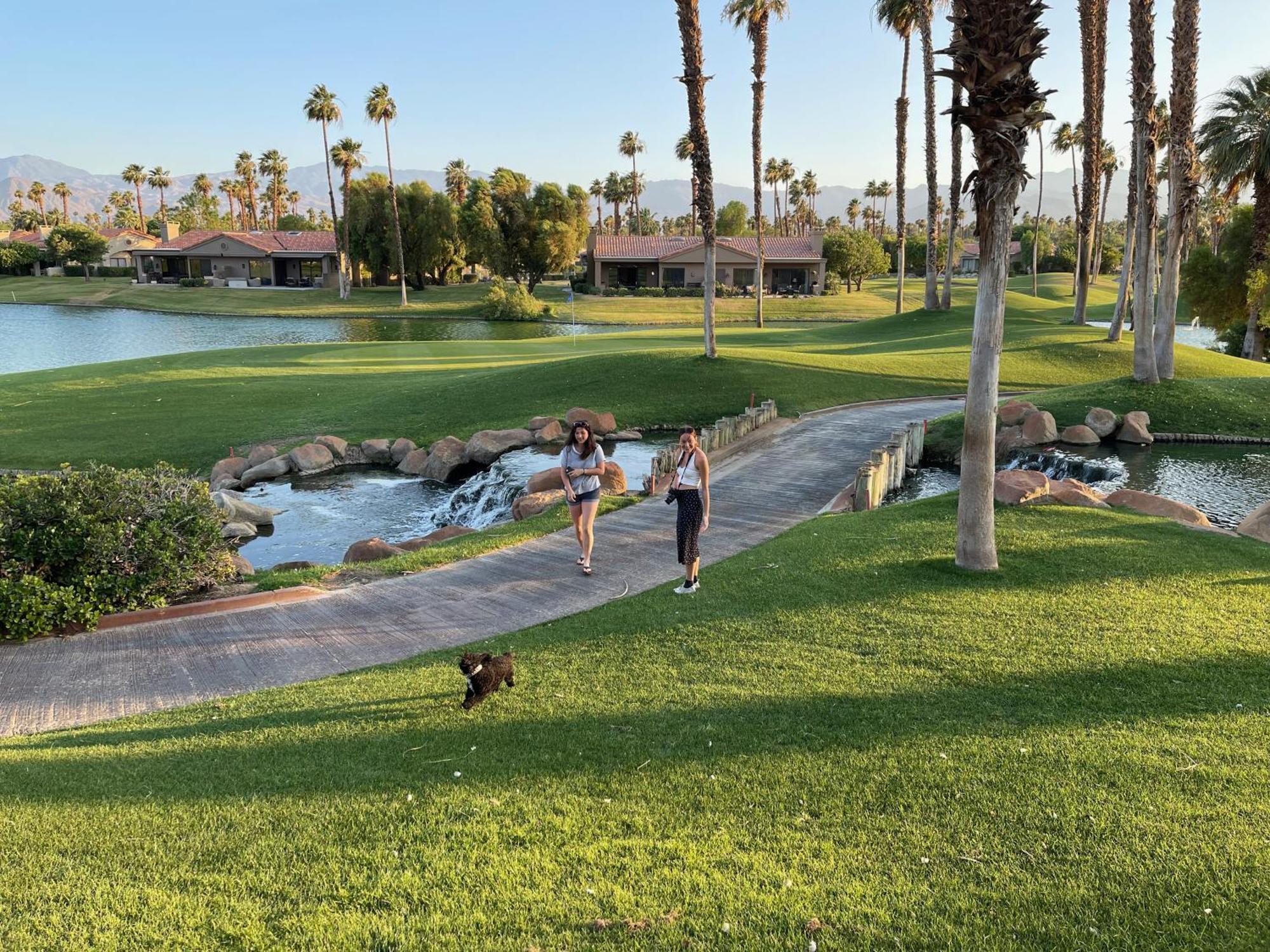 The View! Palm Desert Country Club Villa Exterior photo